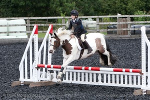 Class 3 -  Fences not above 2'3